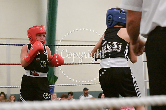TS Boxing 0373