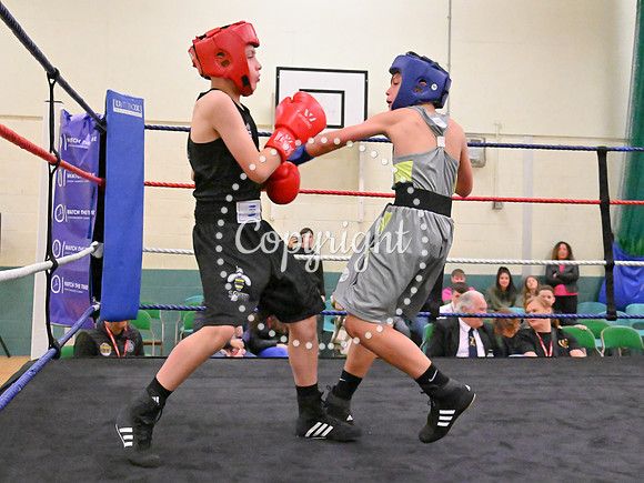 TS Boxing 961