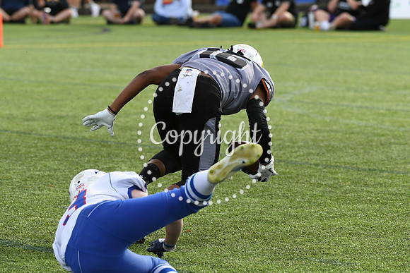 BAF_1428 (2)