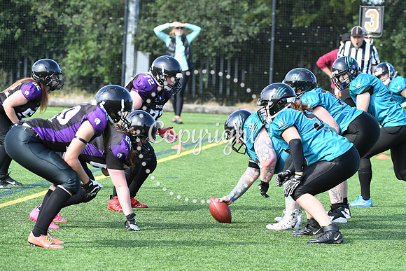 BAF_0738 (2)