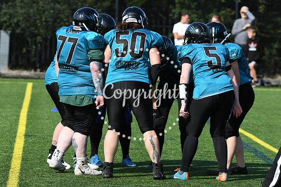 BAF_0791 (2)