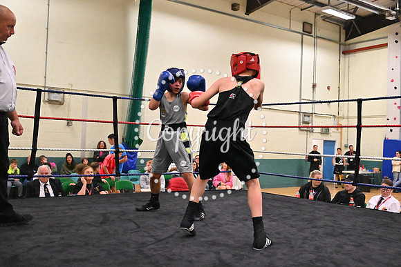 TS Boxing 322