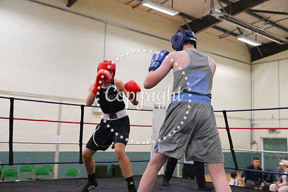 TS Boxing 018