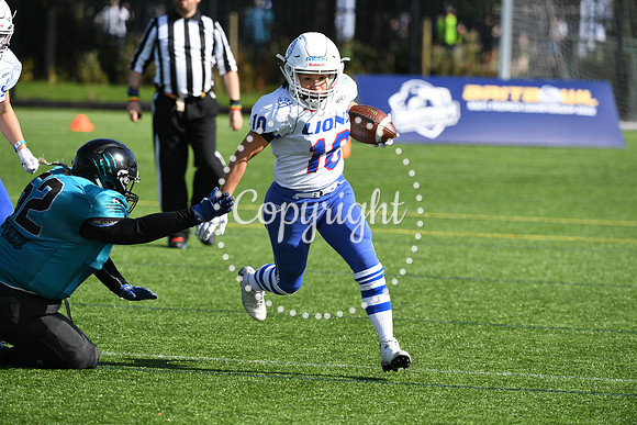 BAFA Finals 9993