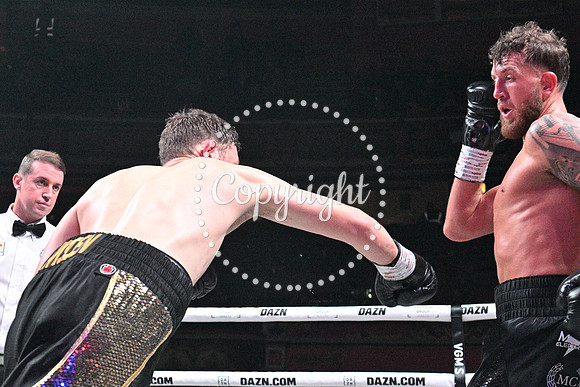 OLM_7687