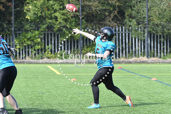 BAF_0664 (2)