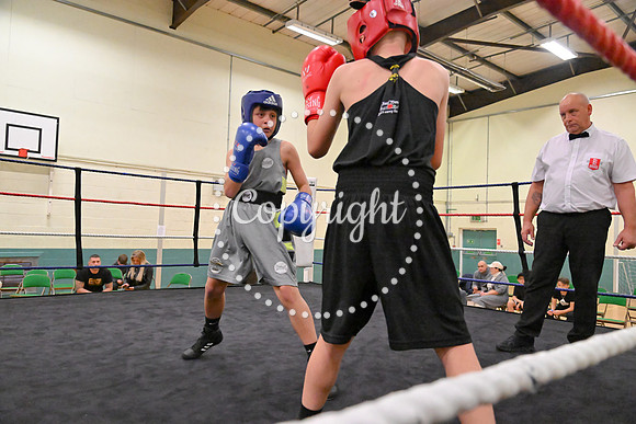 TS Boxing 232