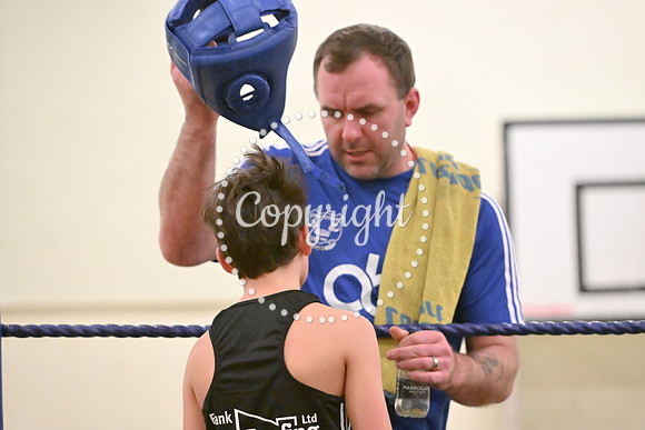 TS Boxing 0441