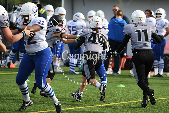 BAF_1453 (2)