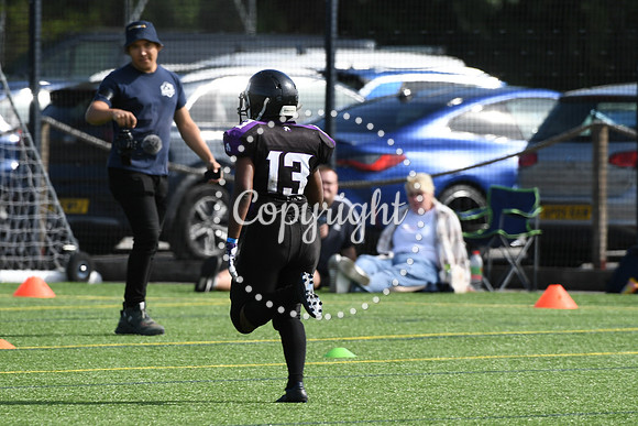 BAF_0617 (2)