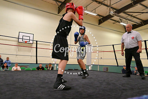 TS Boxing 217