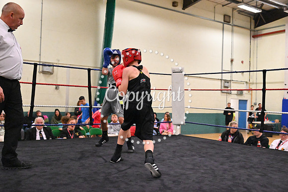 TS Boxing 323