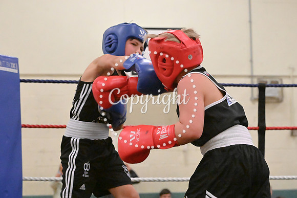 TS Boxing 0438