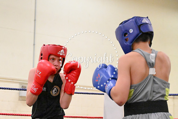 TS Boxing 211