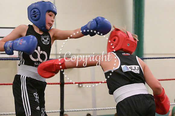 TS Boxing 0437
