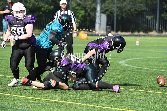 BAF_1064 (2)
