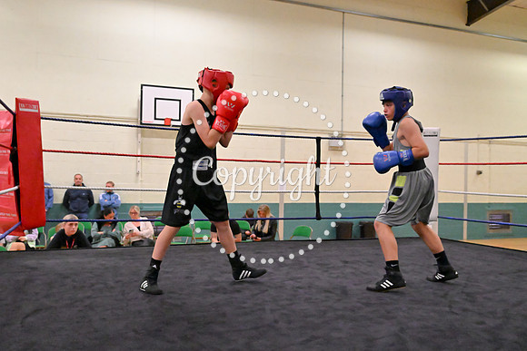TS Boxing 235