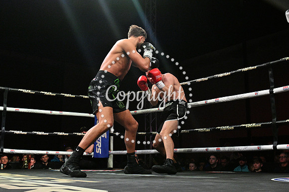 CLT_3980