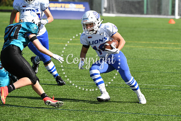 BAFA Finals 9996