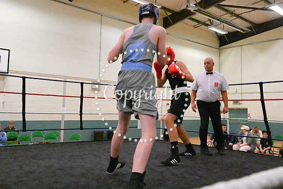 TS Boxing 020
