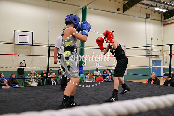 TS Boxing 262