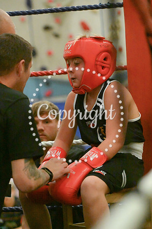 TS Boxing 0394