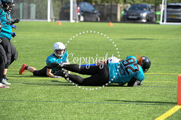 BAFA Finals 9896