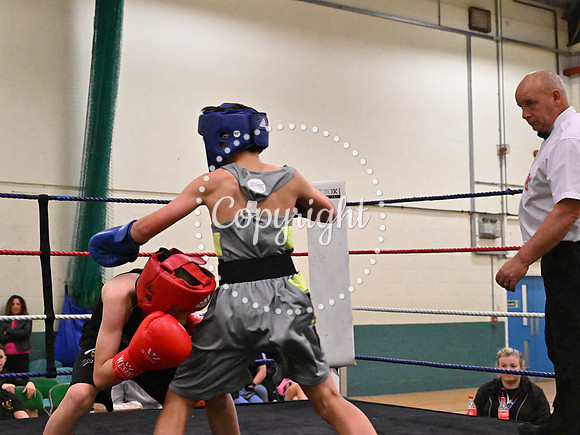TS Boxing 307