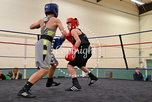 TS Boxing 228