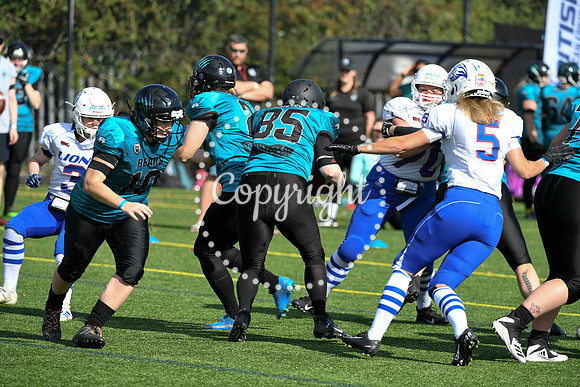 BAFA Finals 9902