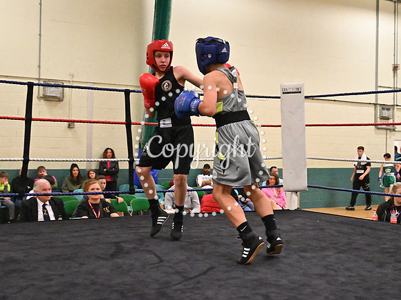 TS Boxing 313