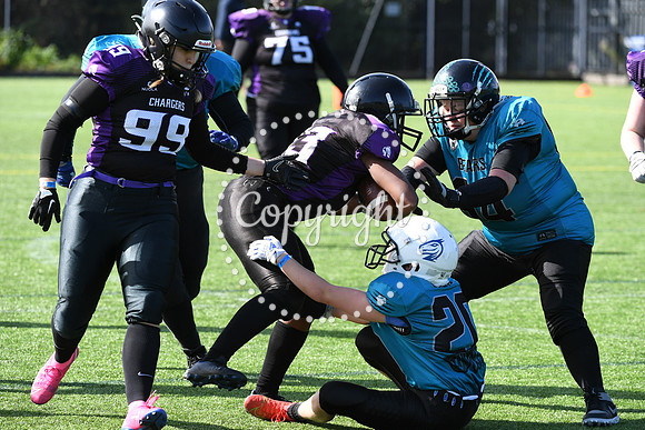BAF_0820 (2)