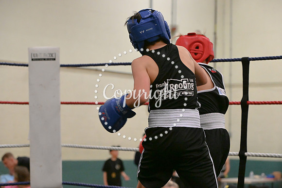 TS Boxing 0431