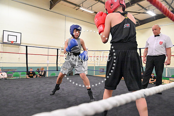 TS Boxing 231