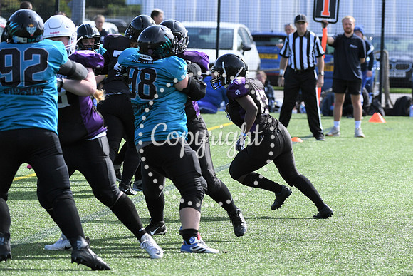 BAF_0609 (3)