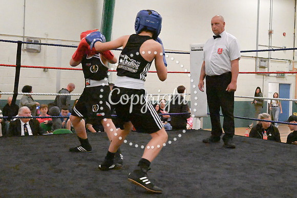 TS Boxing 0332