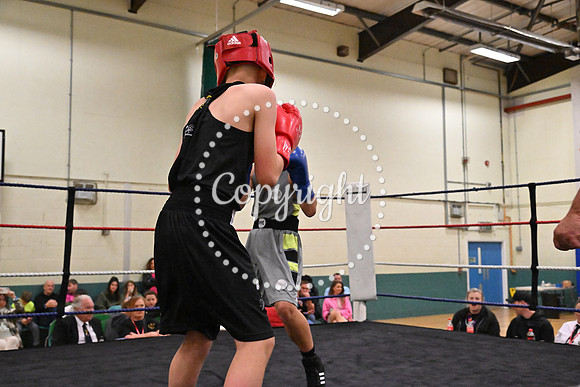 TS Boxing 264