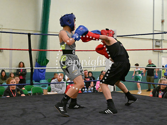 TS Boxing 315