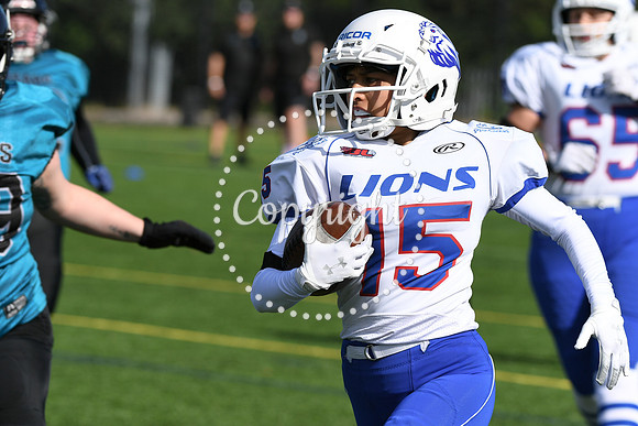 BAFA Finals 9939