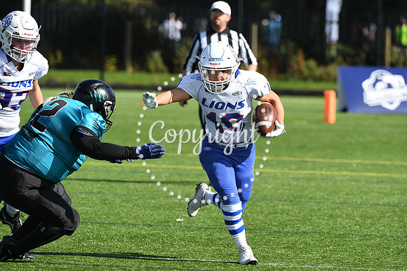 BAFA Finals 9991