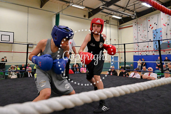 TS Boxing 274