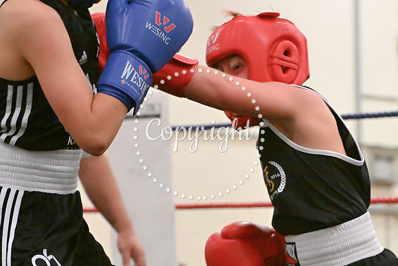 TS Boxing 0435
