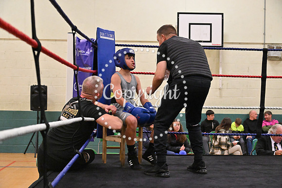 TS Boxing 239