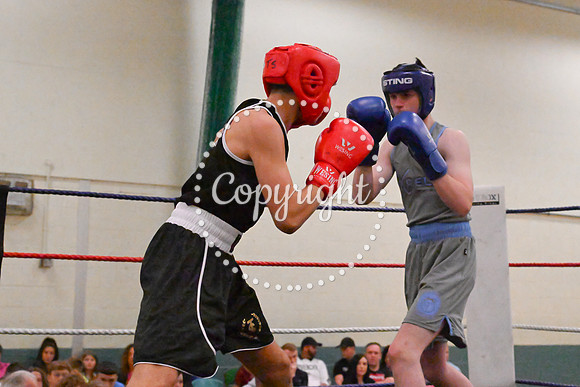 TS Boxing 023