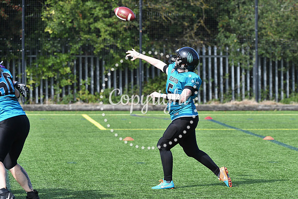 BAF_0664 (3)