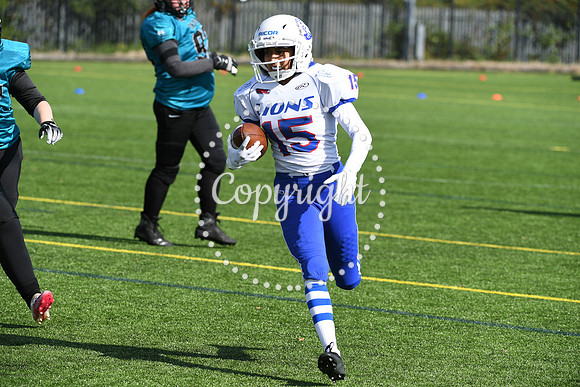 BAFA Finals 9935