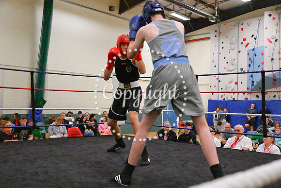 TS Boxing 028