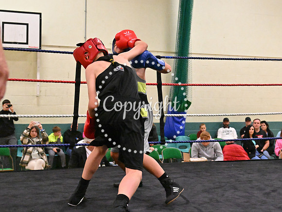 TS Boxing 292