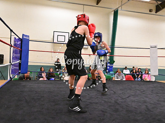 TS Boxing 301